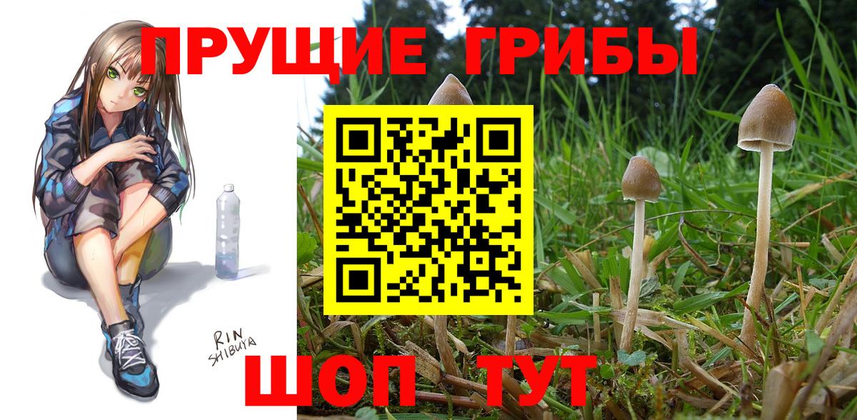 Ливны  Галлюциногенные грибы Psilocybe  Вход с VPN  Галлюциногенные грибы мицелий 