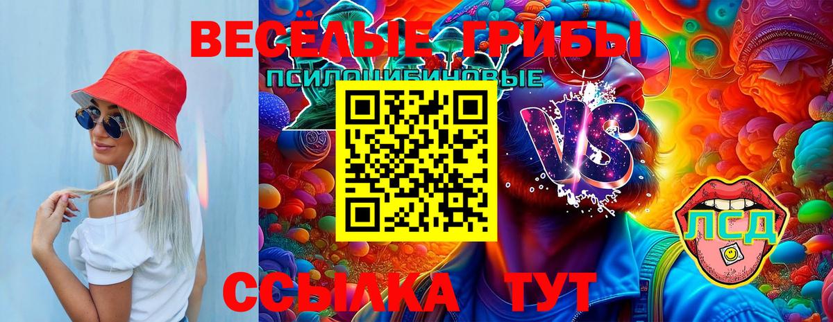 Псилоцибиновые грибы Psilocybine cubensis Ливны